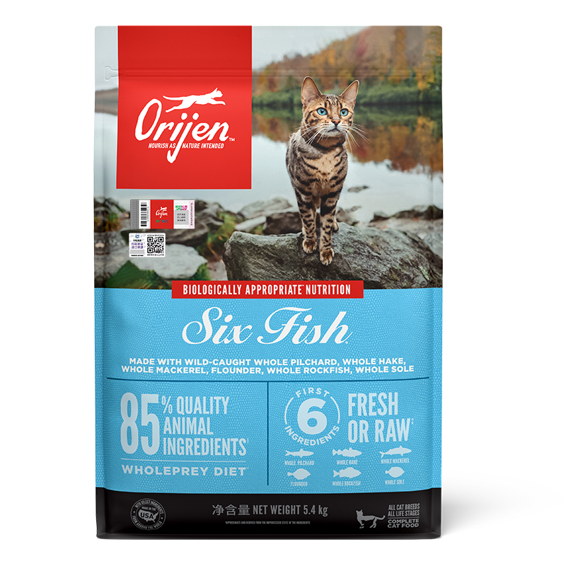 六种鱼猫粮